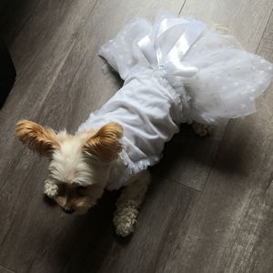 Princess Dog Clothing